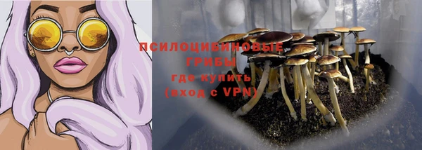 прущая мука Медвежьегорск