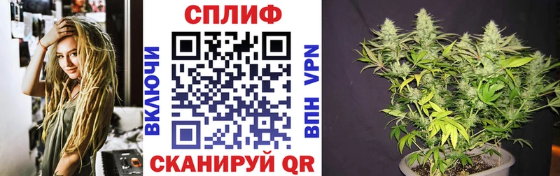 Купить где  Спасск-Рязанский  Бошки марихуана марихуана 